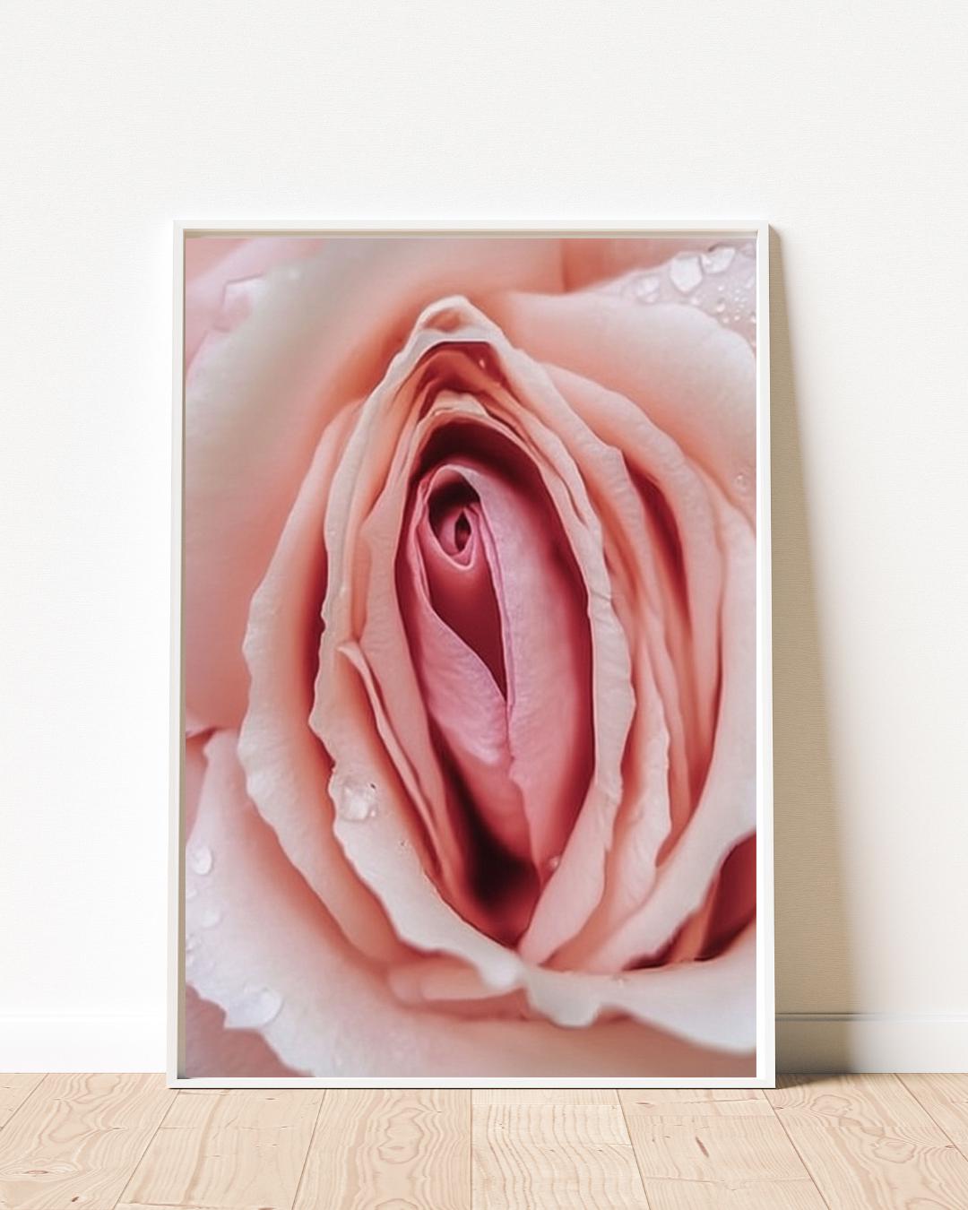 Pink Rose Art Print