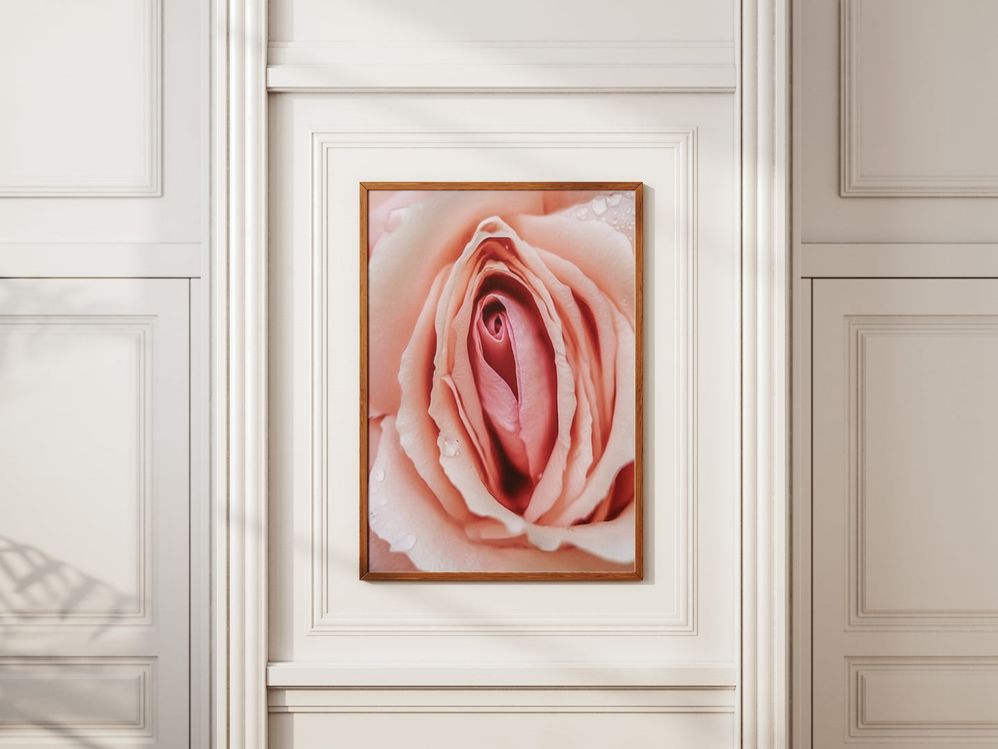 Pink Rose Art Print