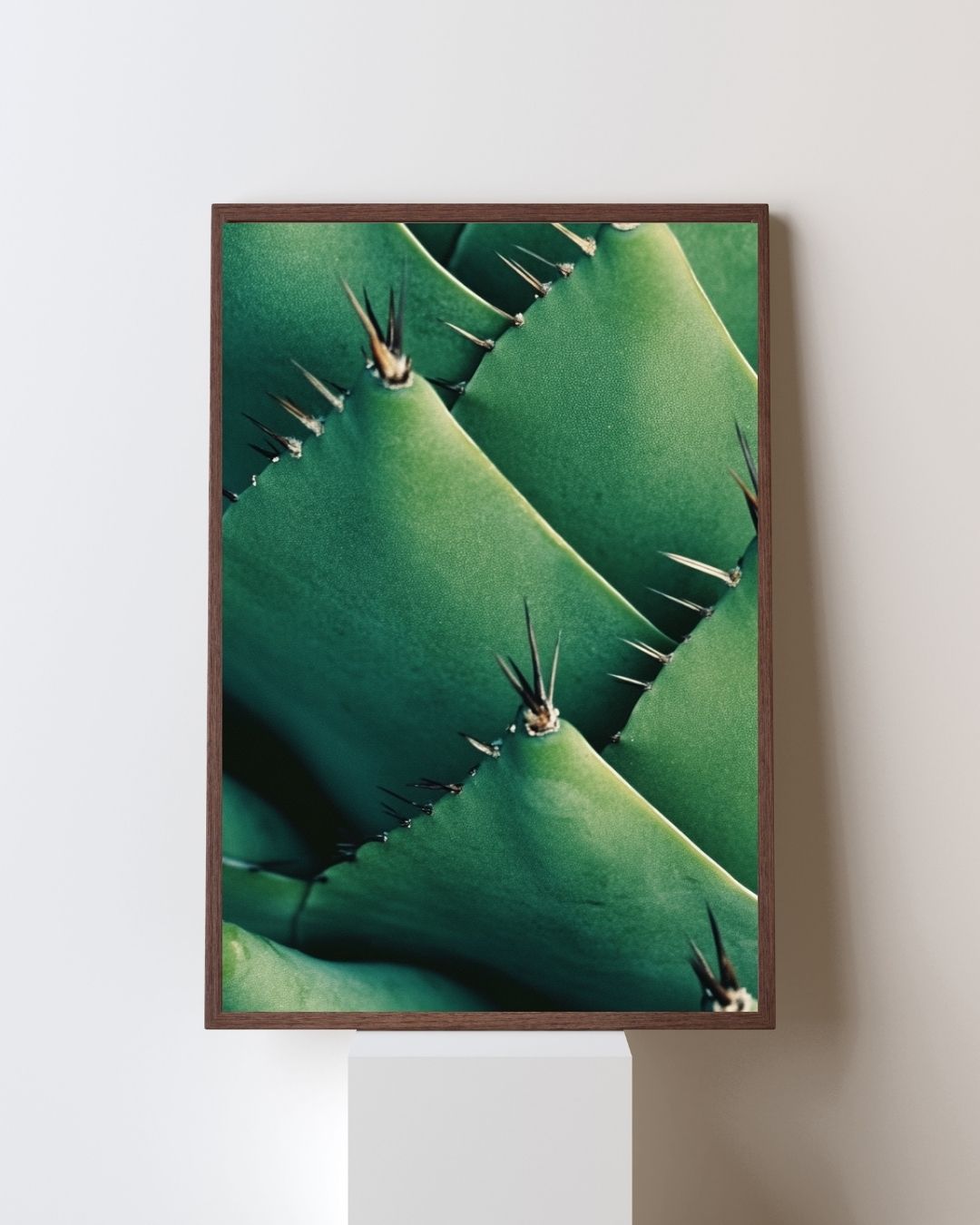 Succulent Cactus Art Print