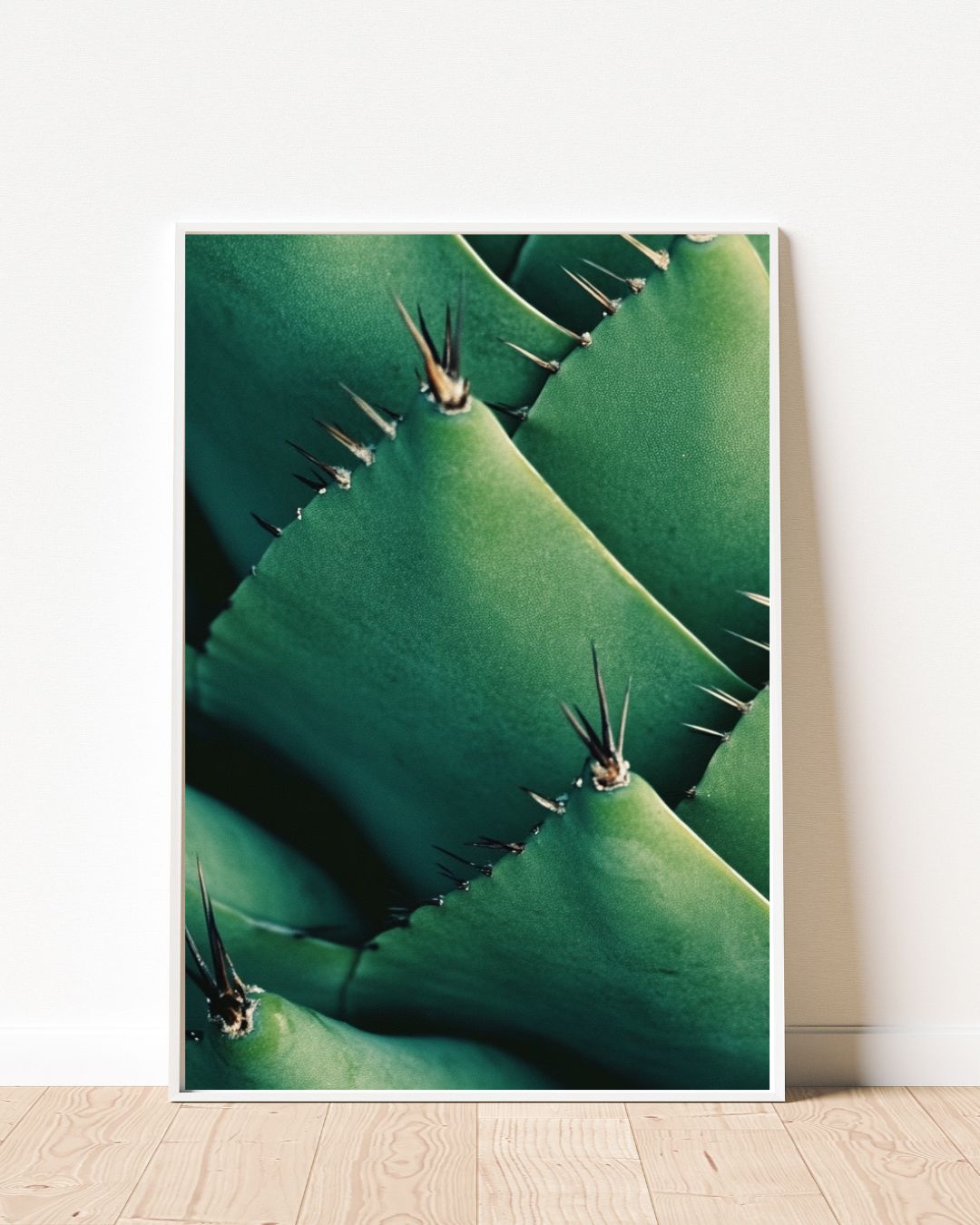 Succulent Cactus Art Print