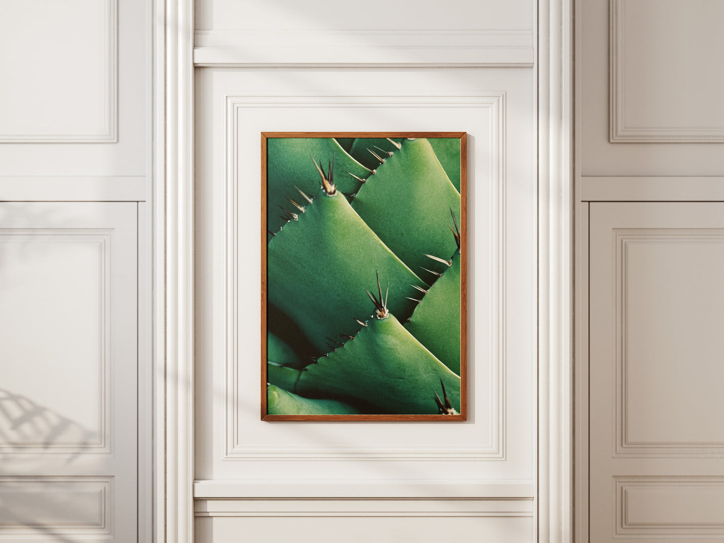 Succulent Cactus Art Print